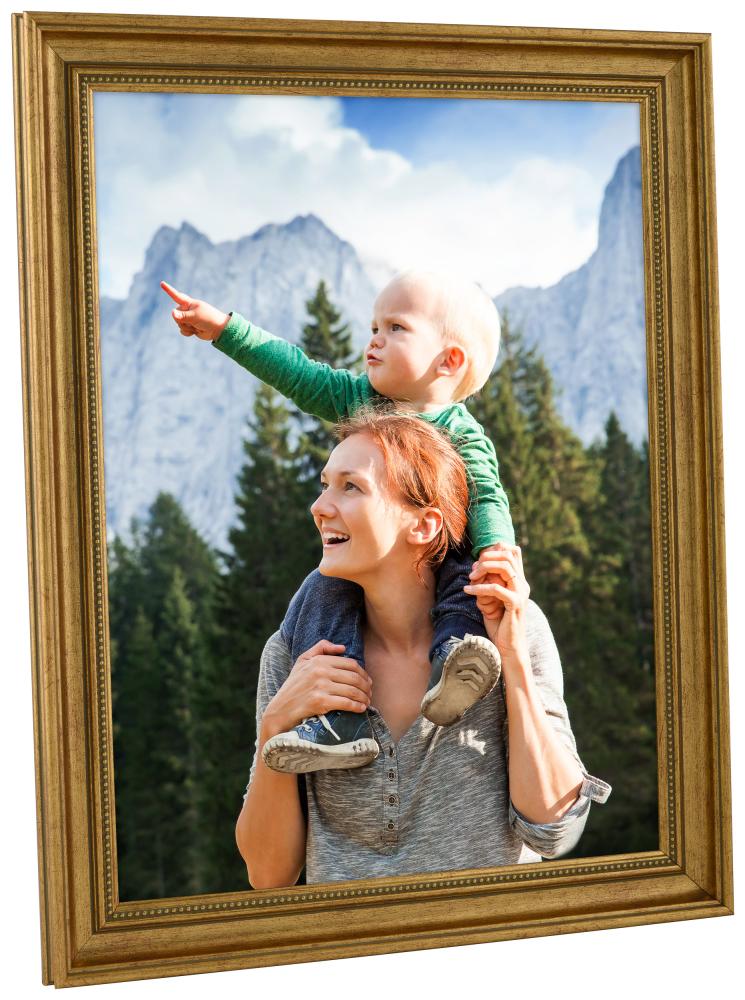 Rėmas Haga Auksas - Bet kokio Dydžio