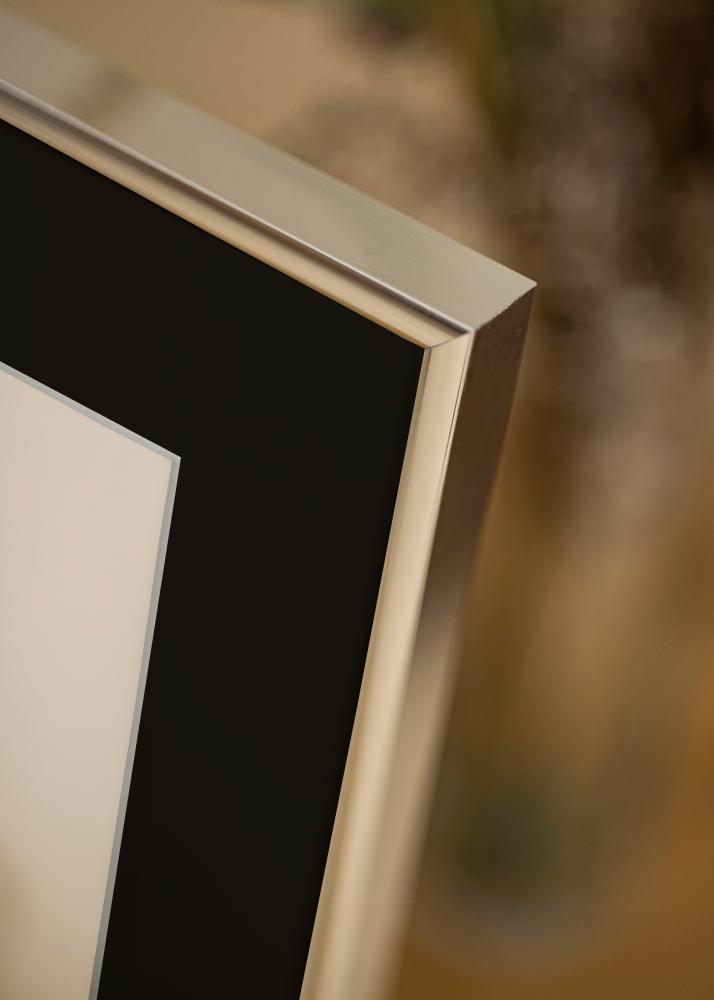 Rėmas Akiuminis Blizgus sidabrinis 70x100 cm - Paspartu Juodas 59,4x84 cm (A1)
