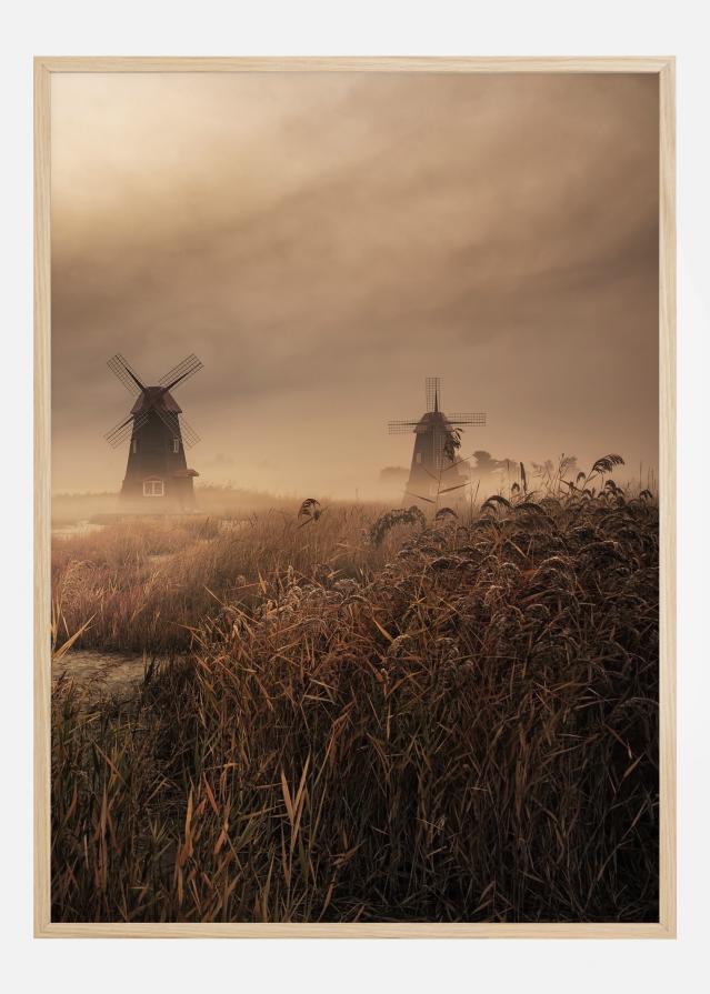 A Fascinating Morning Įrašai