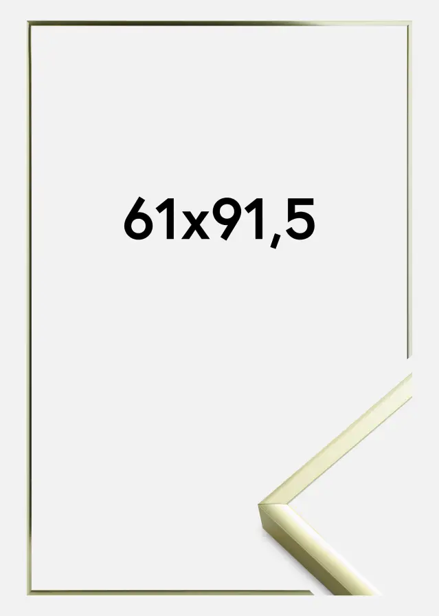 Rėmas Įrašai Frame Aluminum Akrilo stiklas Gold 61x91,5 cm