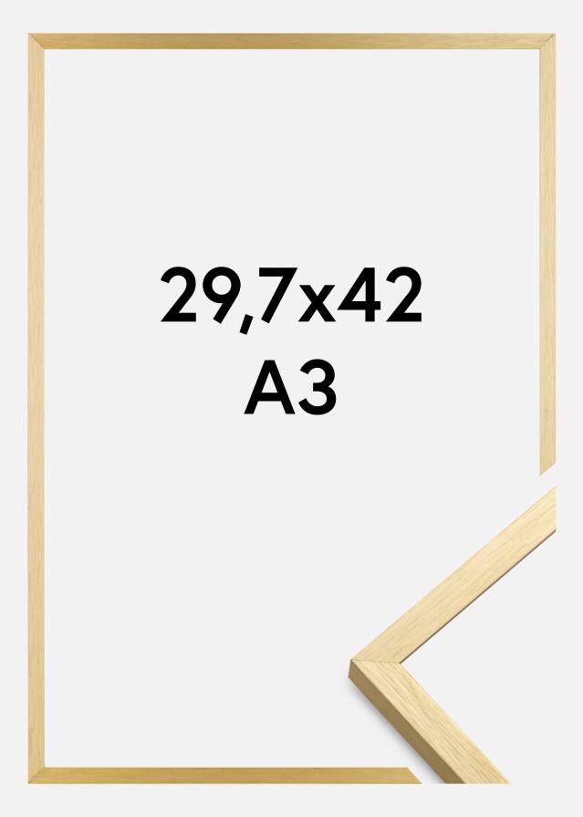 Rėmas Chair Auksas 29,7x42 cm (A3)