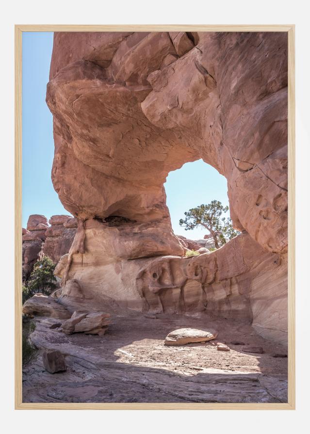 In The Desert Įrašai