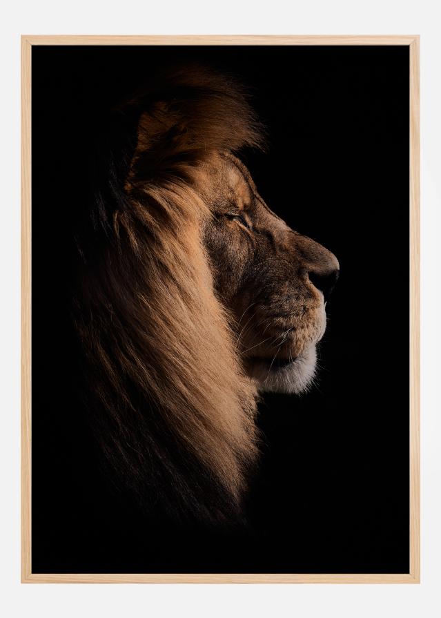 Sleeping King Įrašai