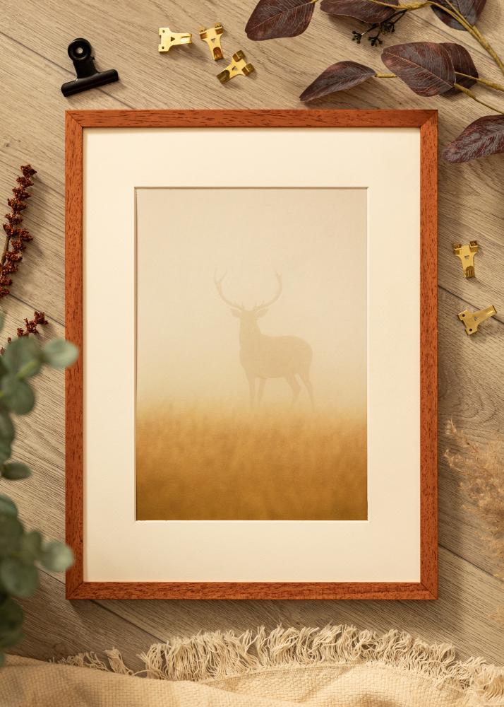 Rėmas Ares Akrilo stiklas Vyšnia 42x59,4 cm (A2)