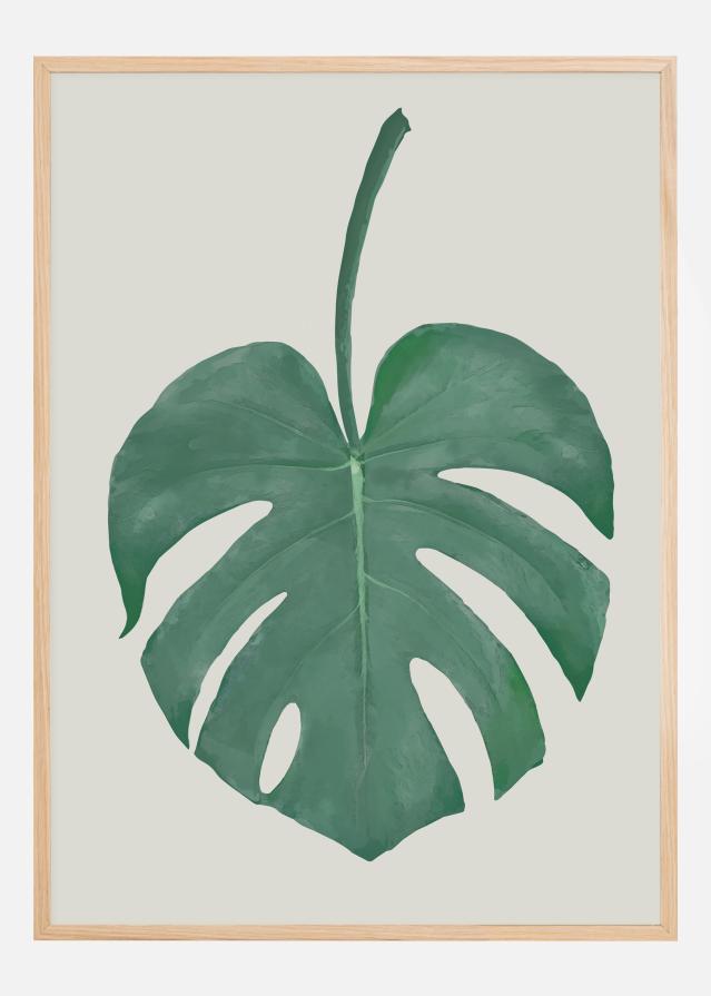 Monstera Aqua Įrašai