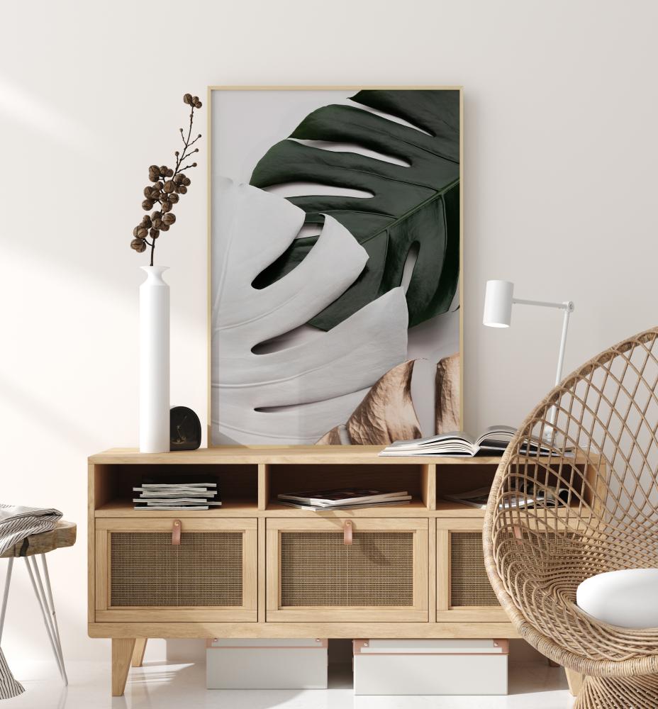 Monstera Colors Įrašai