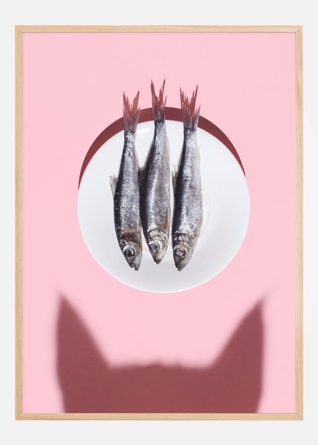 Cat wants fish Įrašai