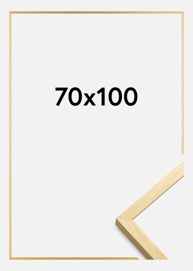 Rėmas Chair Auksas 70x100 cm
