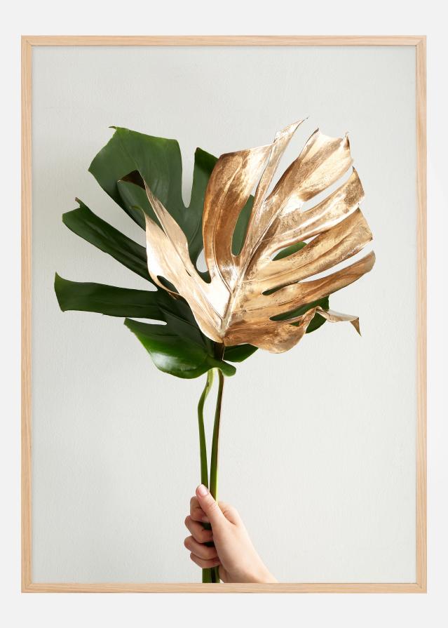 Golden monstera Įrašai