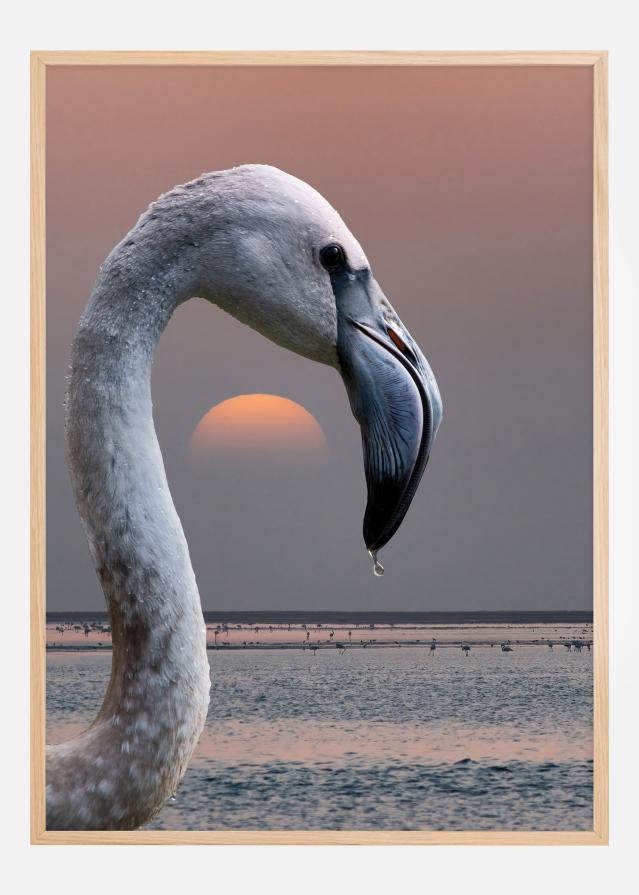 This is my world Įrašai