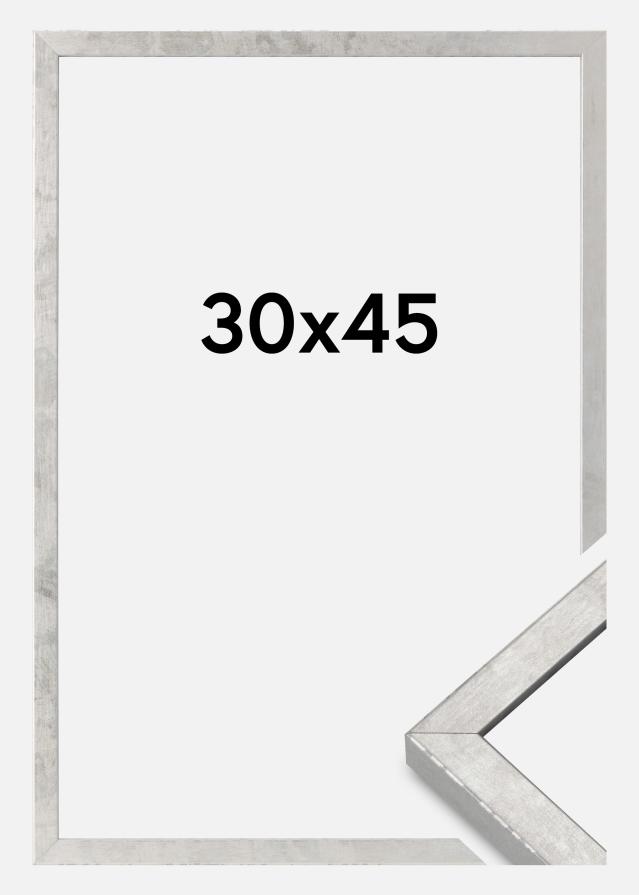 Rėmas Ares Akrilo stiklas Sidabras 30x45 cm