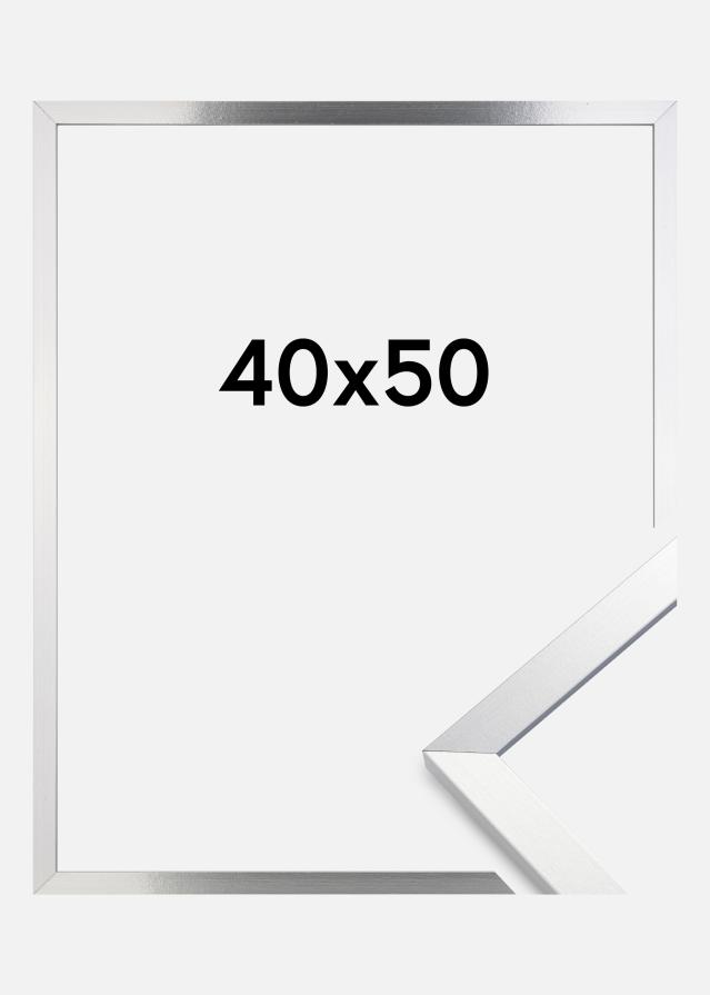 Rėmas Trendy Sidabras 40x50 cm