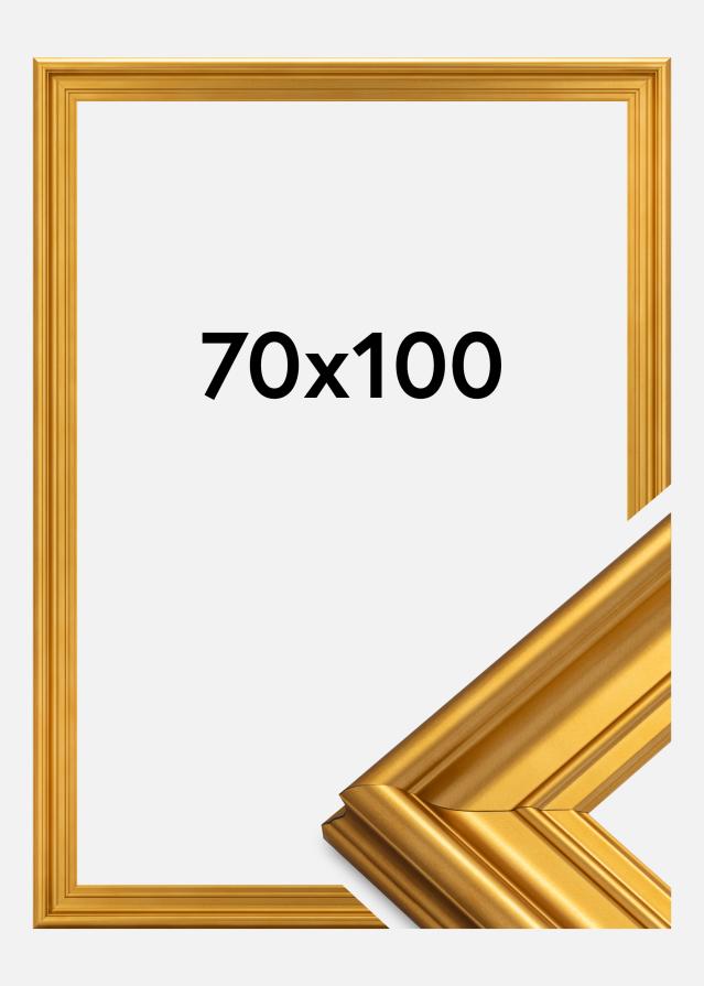 Rėmas Mora Premium Auksas 70x100 cm