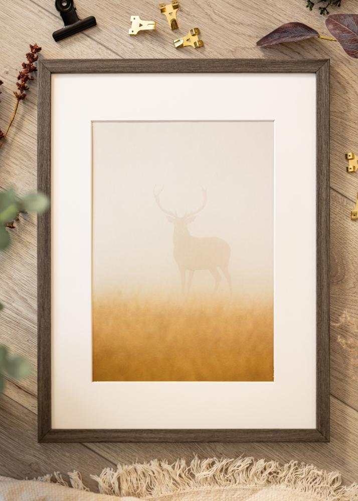 Rėmas Ares Akrilo stiklas Grey Oak 42x59,4 cm (A2)