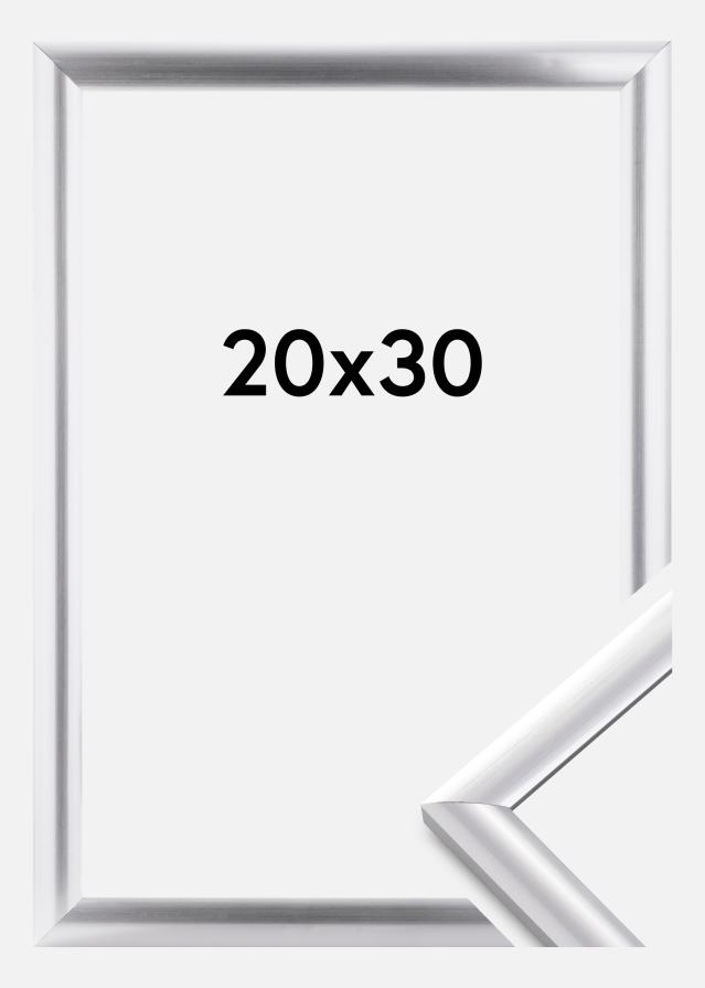 Rėmas Trendstyle Sidabras 20x30 cm
