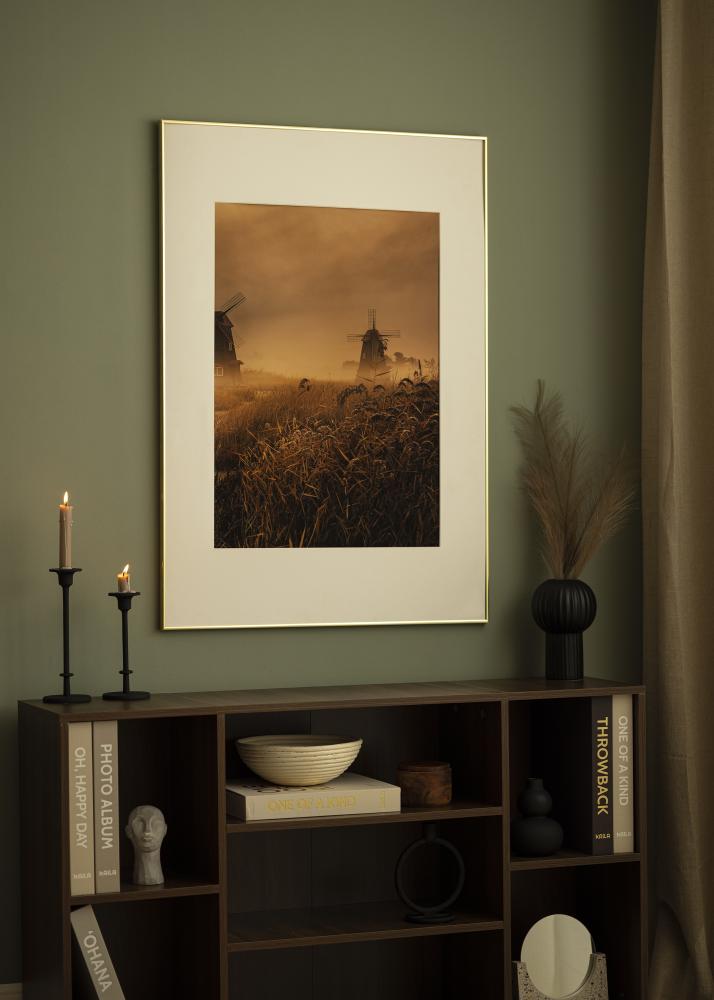 Rėmas Visby Akrilo stiklas Blizgus auksinis 50x70 cm