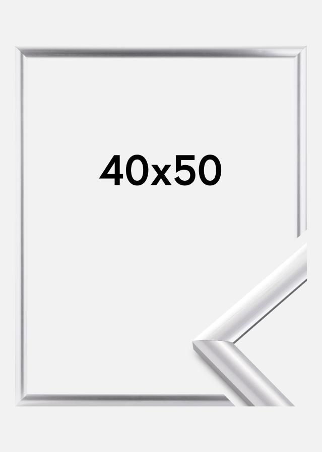 Rėmas Trendstyle Sidabras 40x50 cm