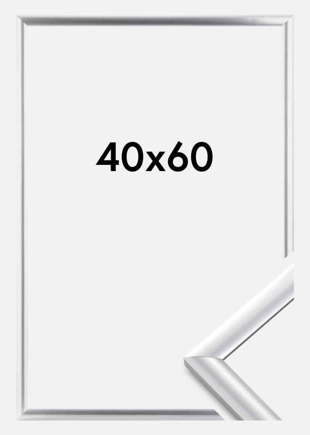 Rėmas Trendstyle Sidabras 40x60 cm