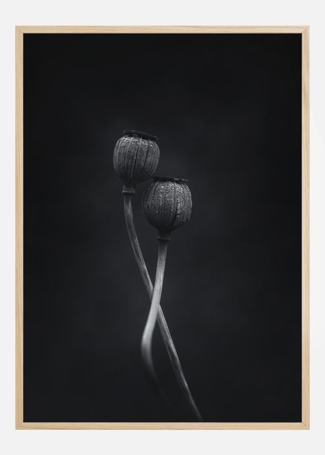 Remains Of Summer Įrašai