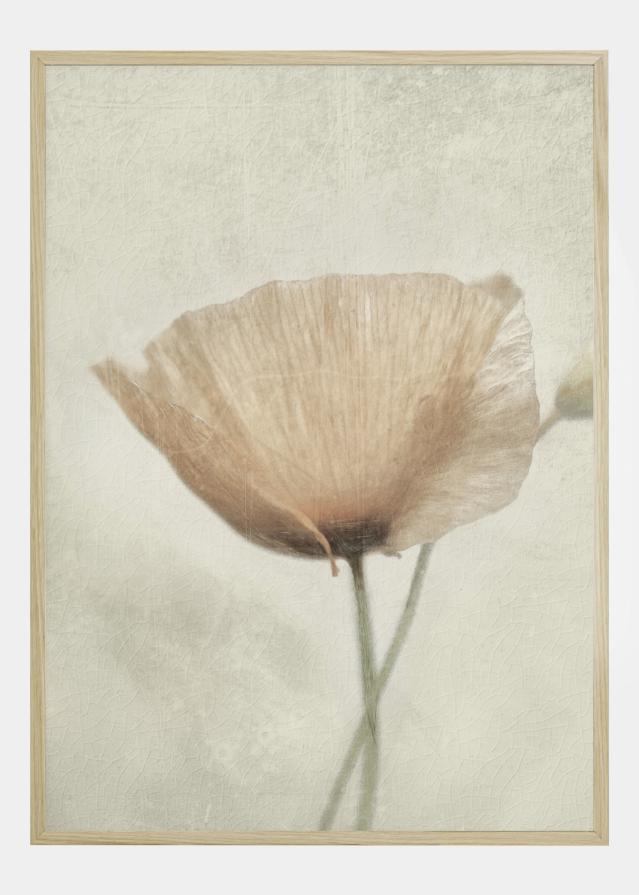 Jewel Of Nature Įrašai