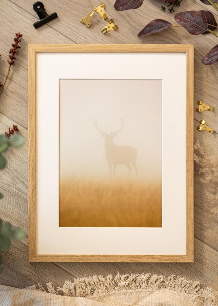 Rėmas Ares Akrilo stiklas Natural Oak 20x25 cm