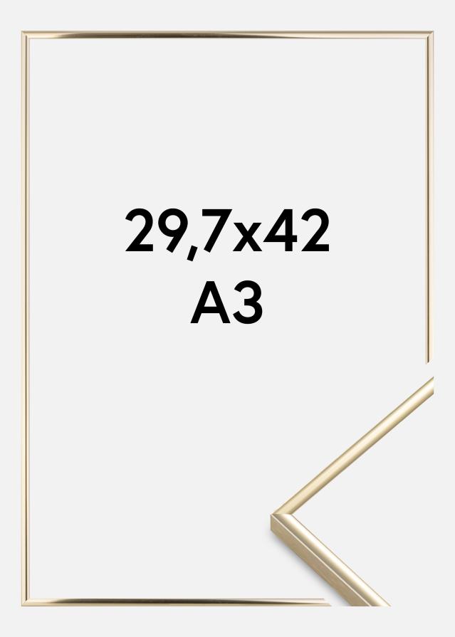 Rėmas Visby Akrilo stiklas Blizgus auksinis 29,7x42 cm (A3)