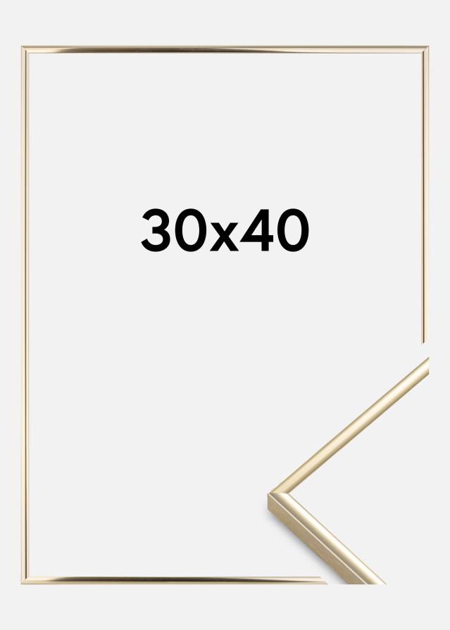 Rėmas Visby Akrilo stiklas Blizgus auksinis 30x40 cm