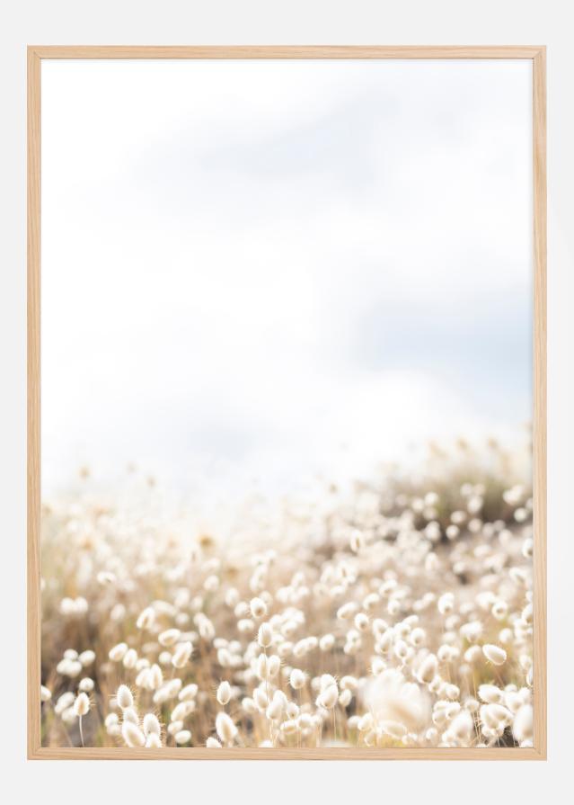 Summer field Įrašai