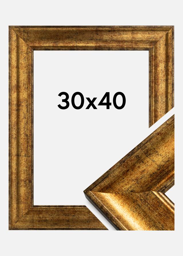 Rėmas Saltsjöbaden Akrilo stiklas Auksas 30x40 cm