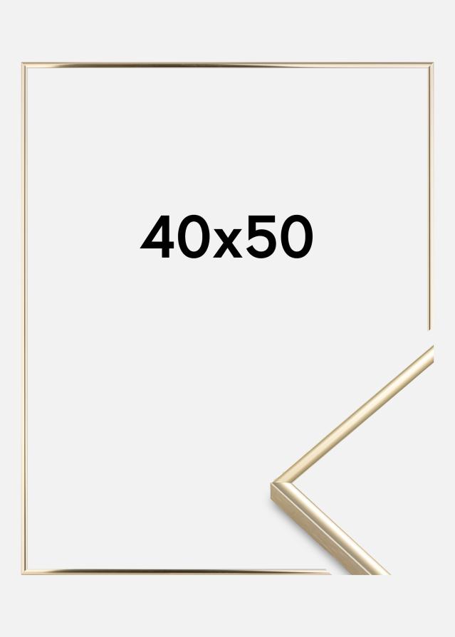 Rėmas Visby Akrilo stiklas Blizgus auksinis 40x50 cm
