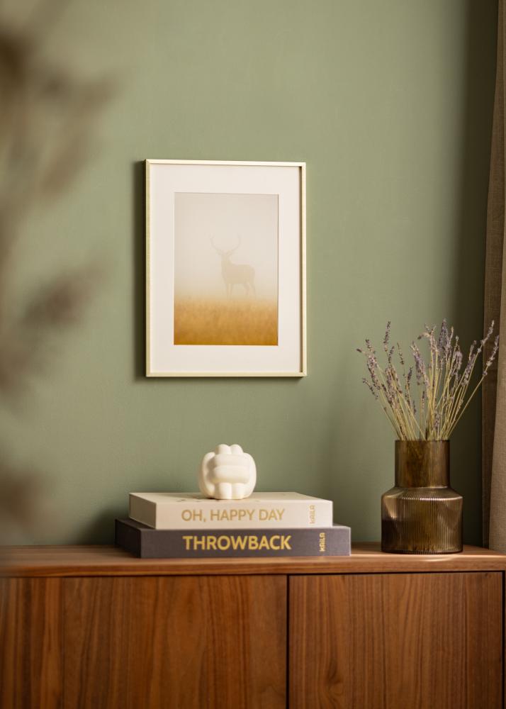 Rėmas Nielsen Premium Alpha Matinis Auksas - Bet kokio Dydžio