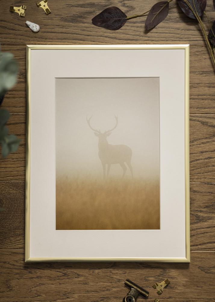 Rėmas Įrašai Frame Aluminum Akrilo stiklas Gold 61x91,5 cm