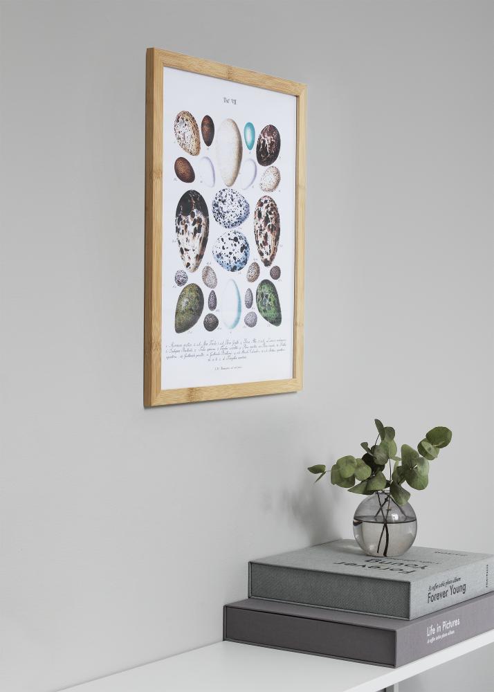 Rėmas Hoei Bambukas Akrilo stiklas 70x100 cm