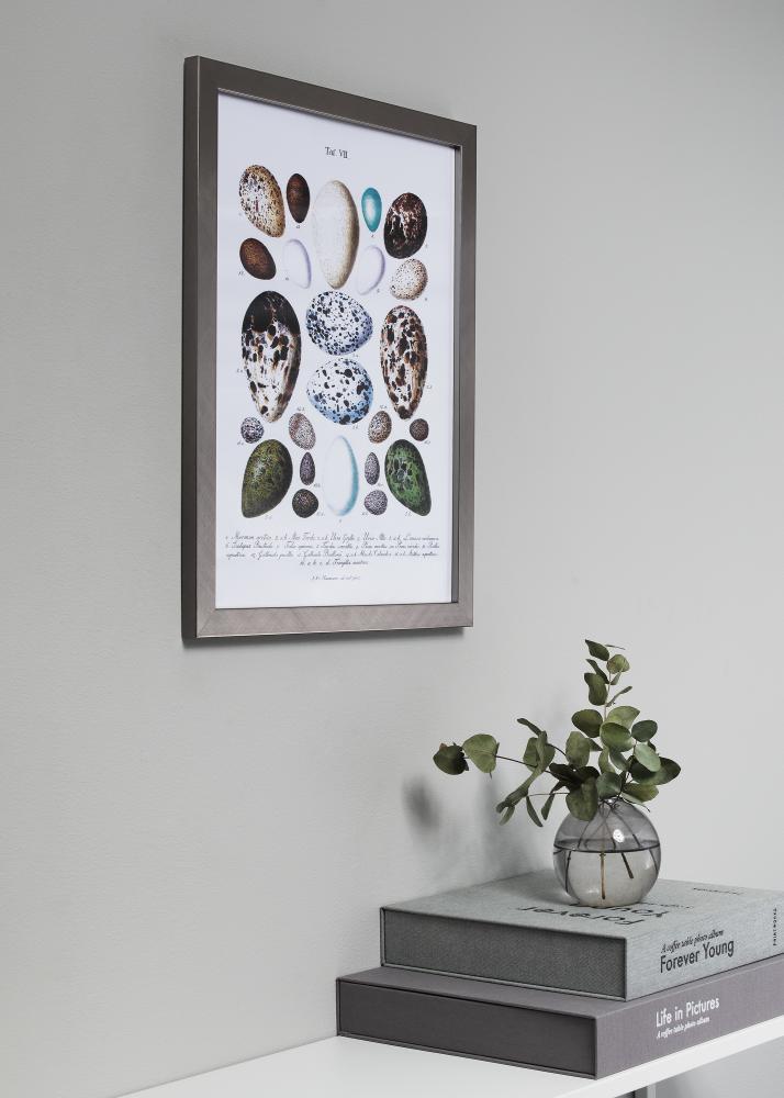 Rėmas Uppsala Sidabras 28x35 cm