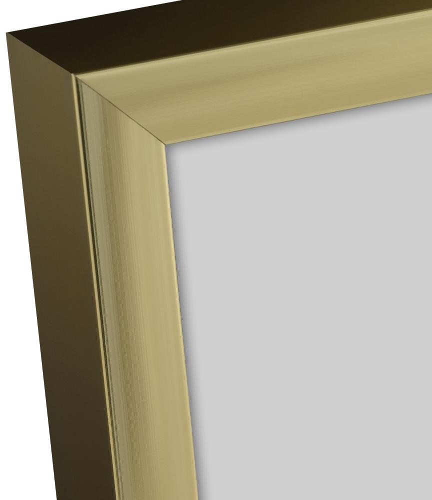 Rėmas Įrašai Frame Aluminum Gold 70x100 cm - Paspartu Juodas 59,4x84 cm (A1)