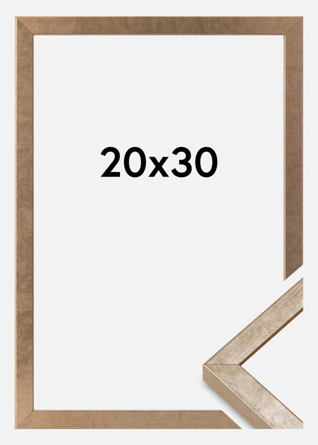 Rėmas Ares Akrilo stiklas Žalvaris 20x30 cm