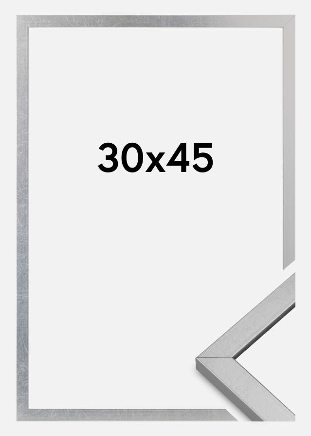 Rėmas Minerva Akrilo stiklas Sidabras 30x45 cm