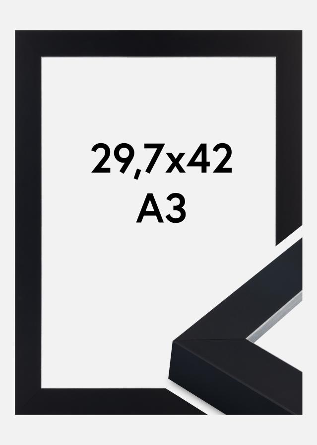 Rėmas Sussex Akrilo stiklas Juoda/Sidabrinė 29,7x42 cm (A3)