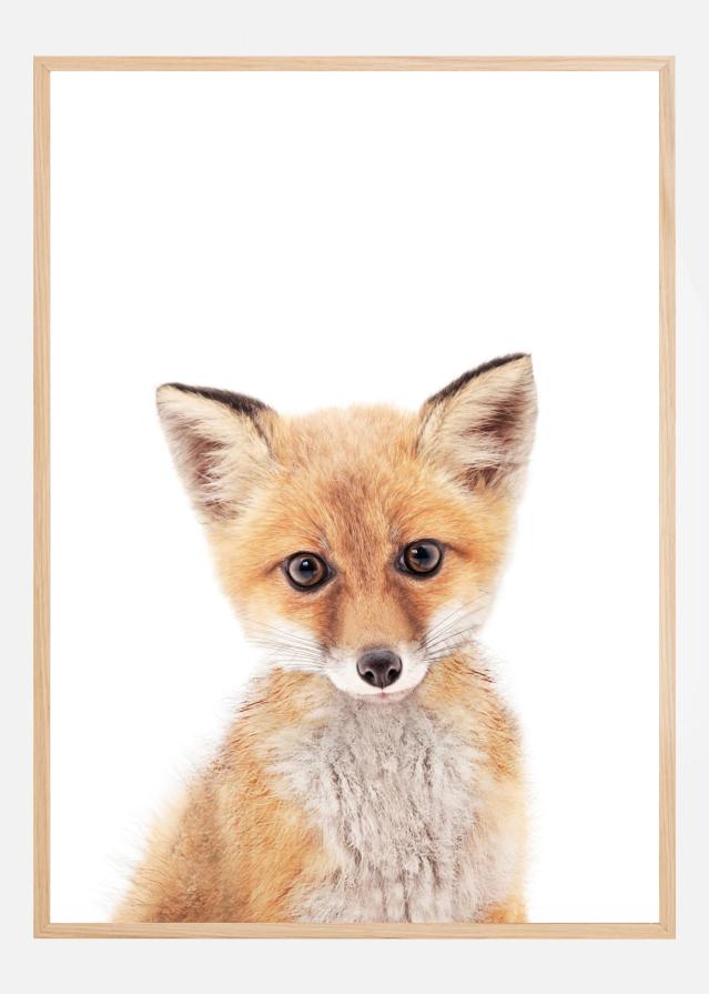 Baby Fox Poster