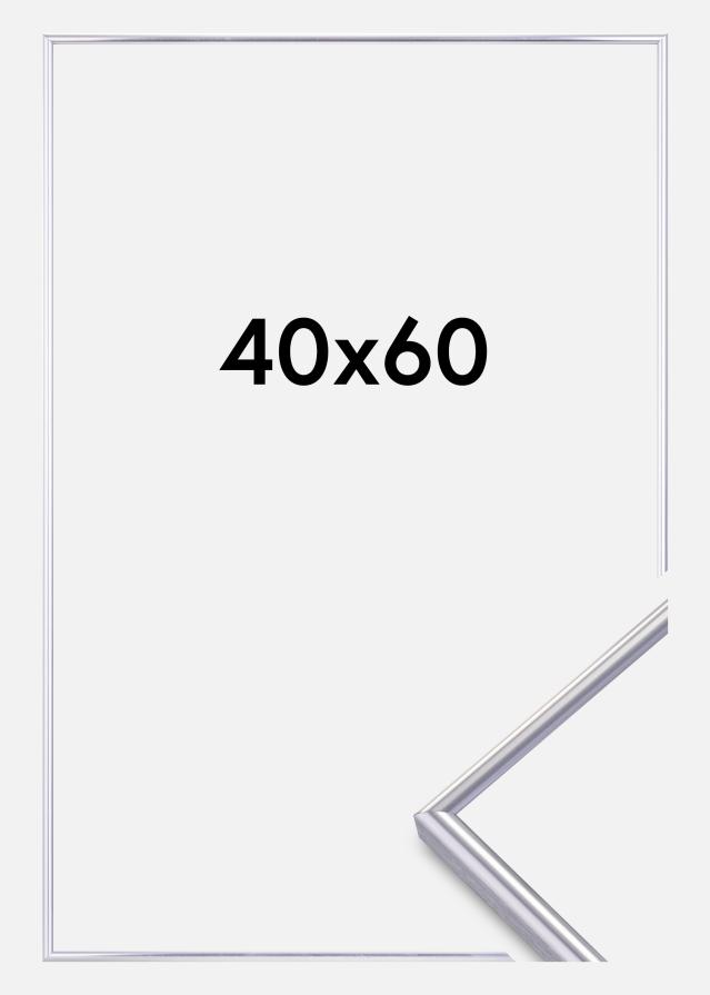 Rėmas Can-Can Sidabras 40x60 cm