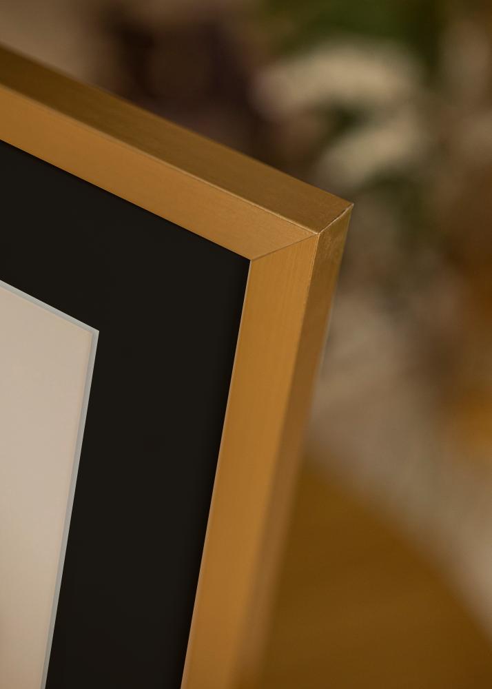 Rėmas Selection Auksas 13x18 cm - Paspartu Juodas 9x12 cm