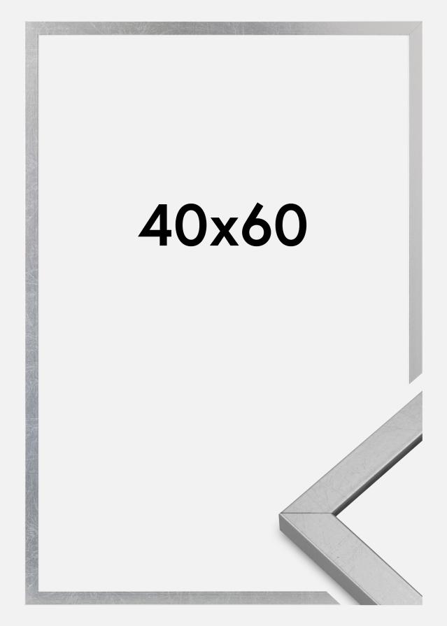 Rėmas Minerva Akrilo stiklas Sidabras 40x60 cm