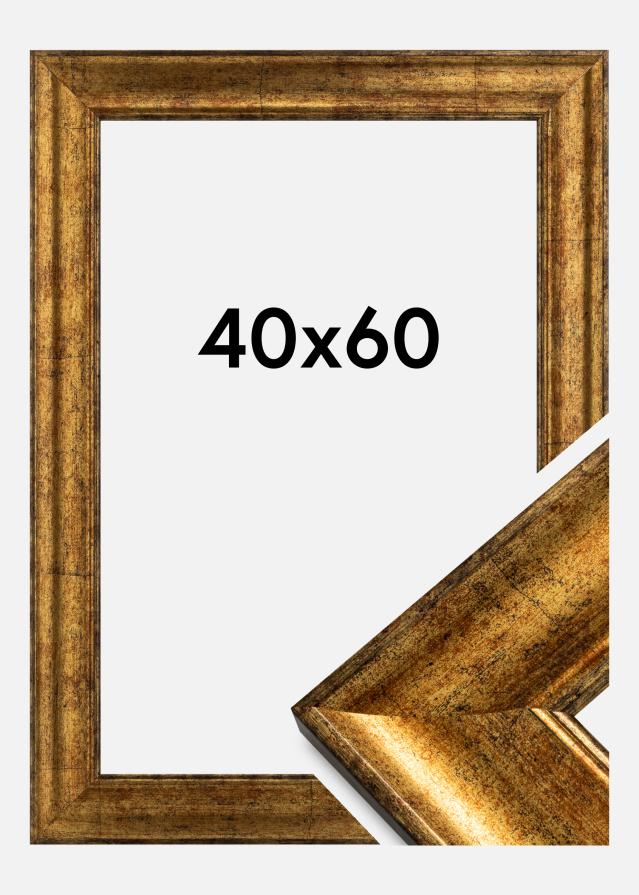 Rėmas Saltsjöbaden Auksas 40x60 cm