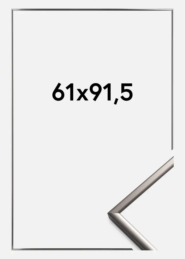 Rėmas New Lifestyle Plienas 61x91,5 cm