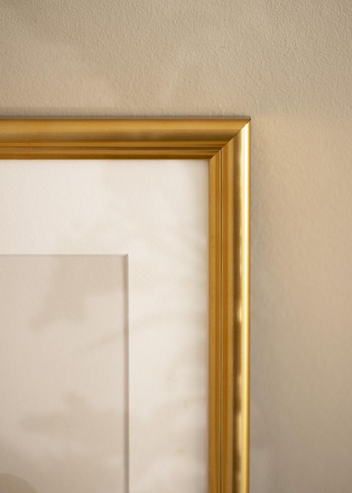 Rėmas Högbo Auksas - Bet kokio Dydžio