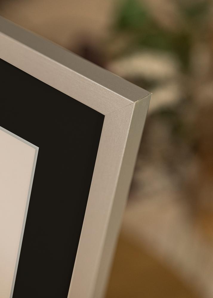 Rėmas Selection Sidabras 70x100 cm - Paspartu Juodas 62x93 cm