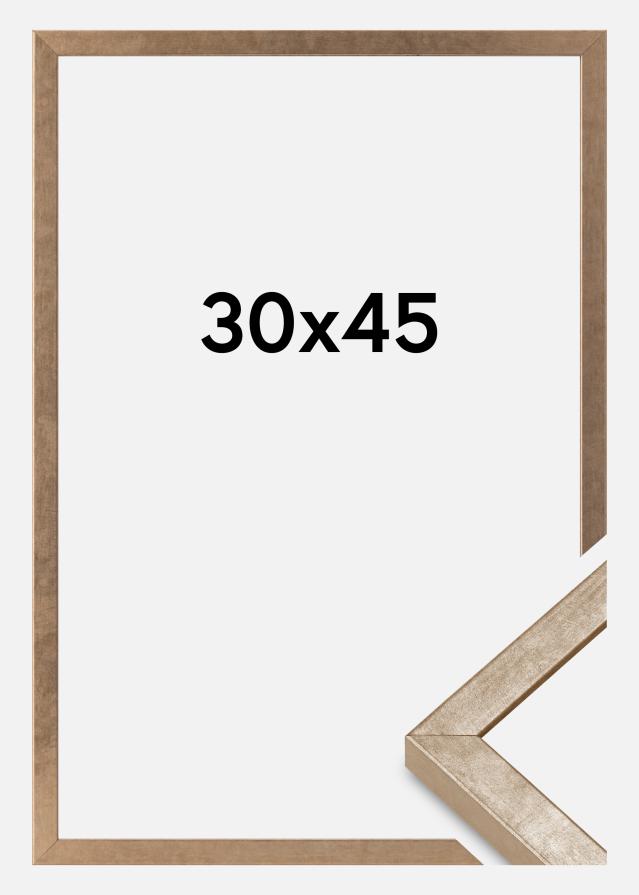 Rėmas Ares Akrilo stiklas Žalvaris 30x45 cm