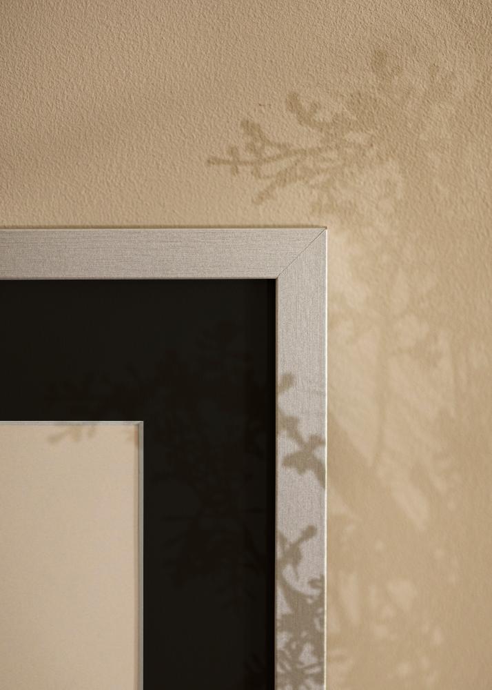 Rėmas Selection Sidabras 70x100 cm - Paspartu Juodas 62x93 cm