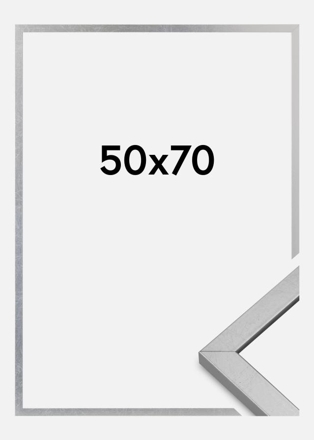 Rėmas Minerva Akrilo stiklas Sidabras 50x70 cm