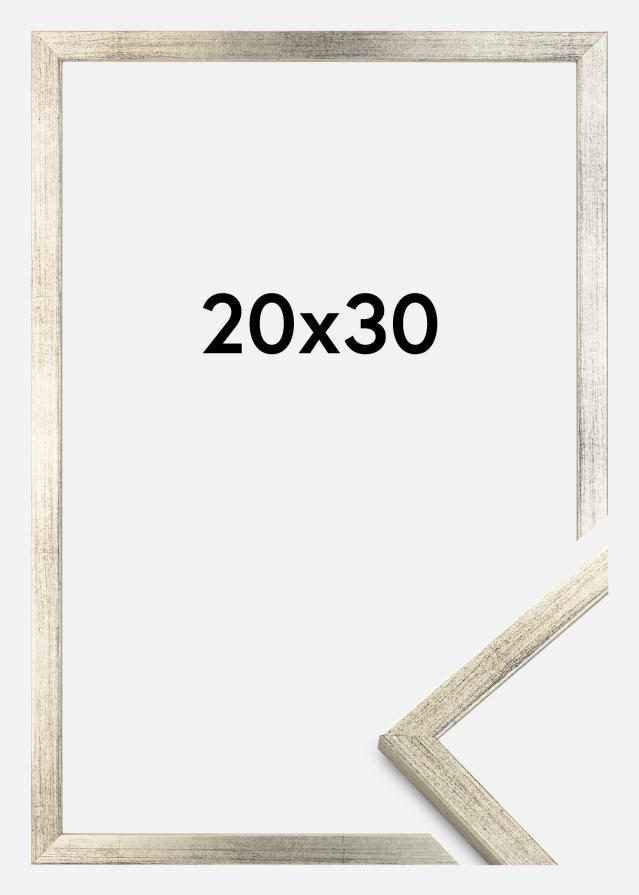 Rėmas Galant Sidabras 20x30 cm
